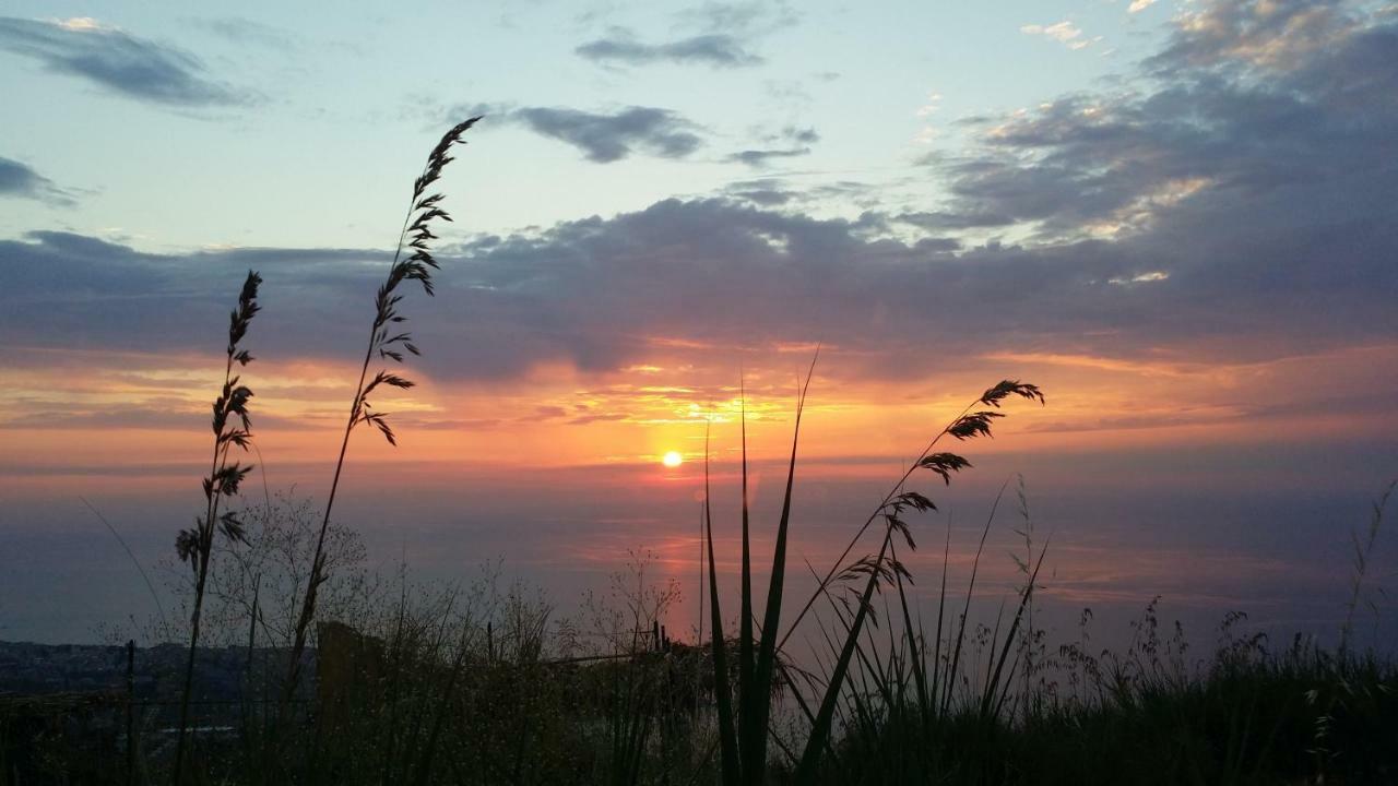 B&B Villa Eleonora Tropea Le Pioppe Kültér fotó